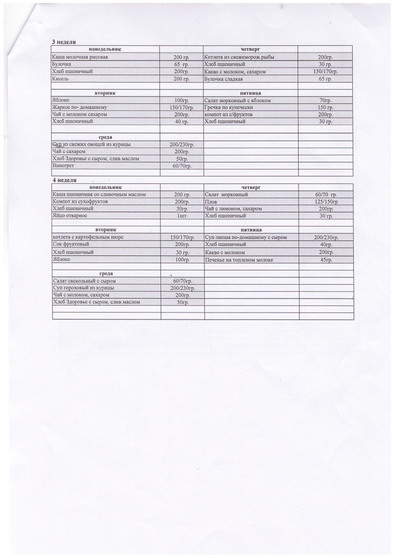 перспективное меню 2